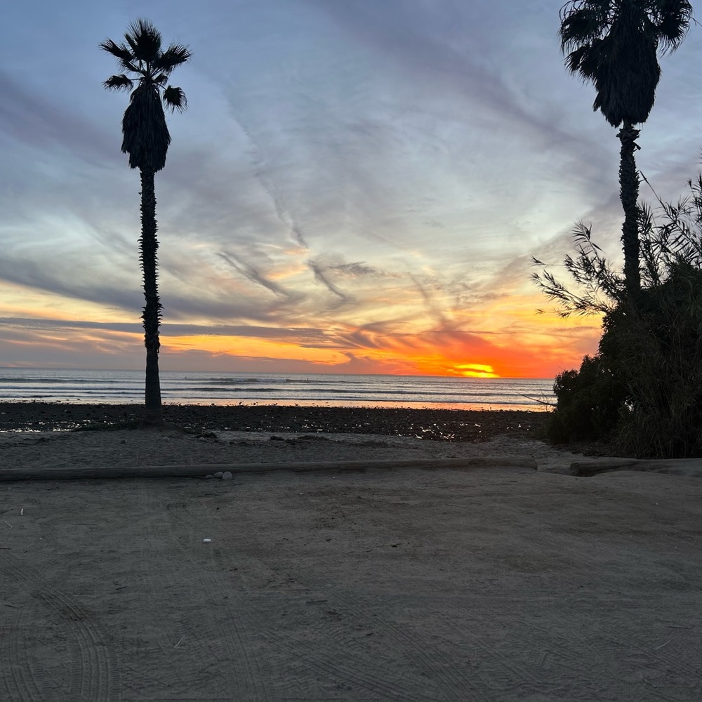 Meet your Posher, Karlie